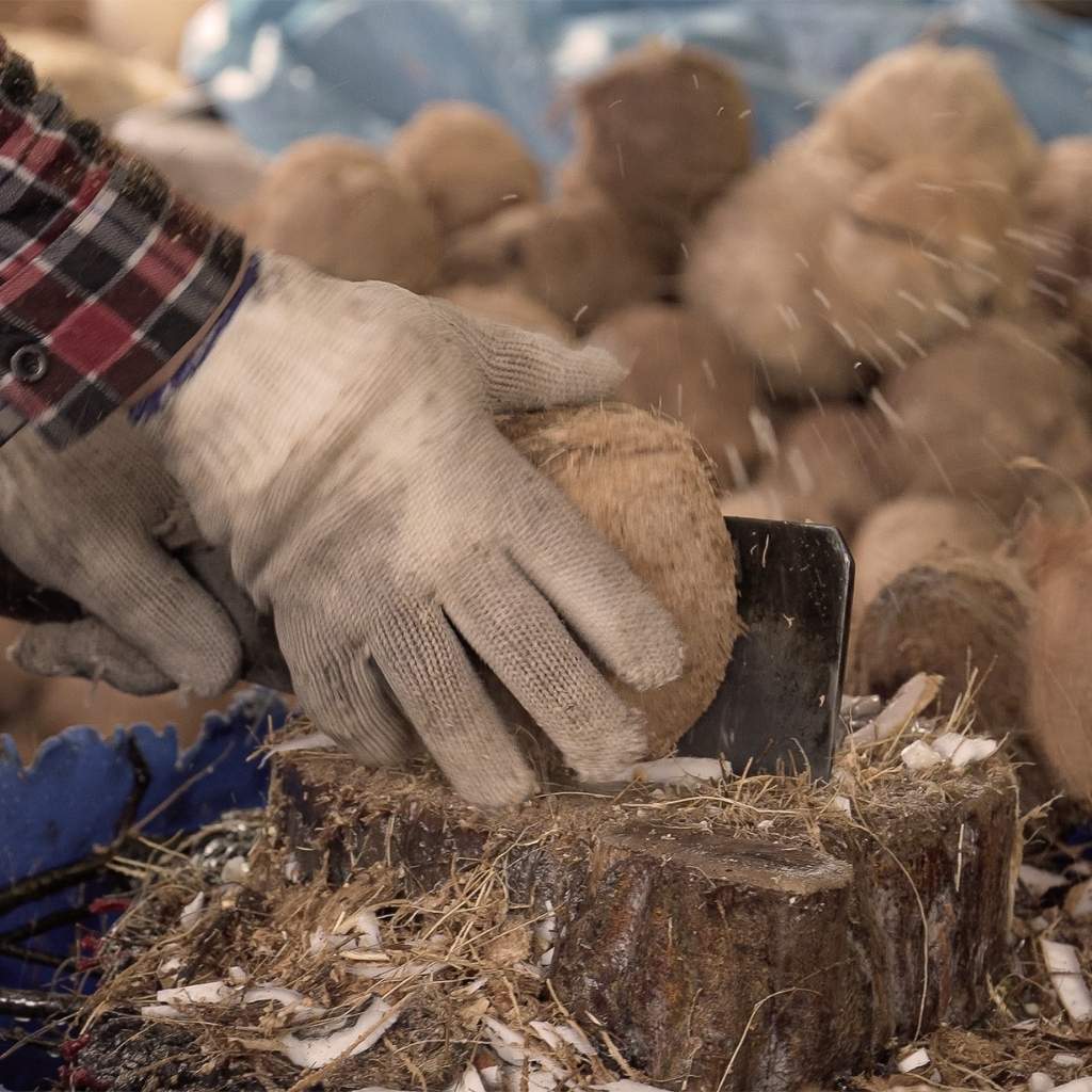 Coconut Bowl, Spoon and Straw Set
