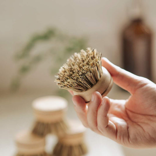 Replacement Head for Reusable Dish Brush - Firm Bristles - Tree of Life