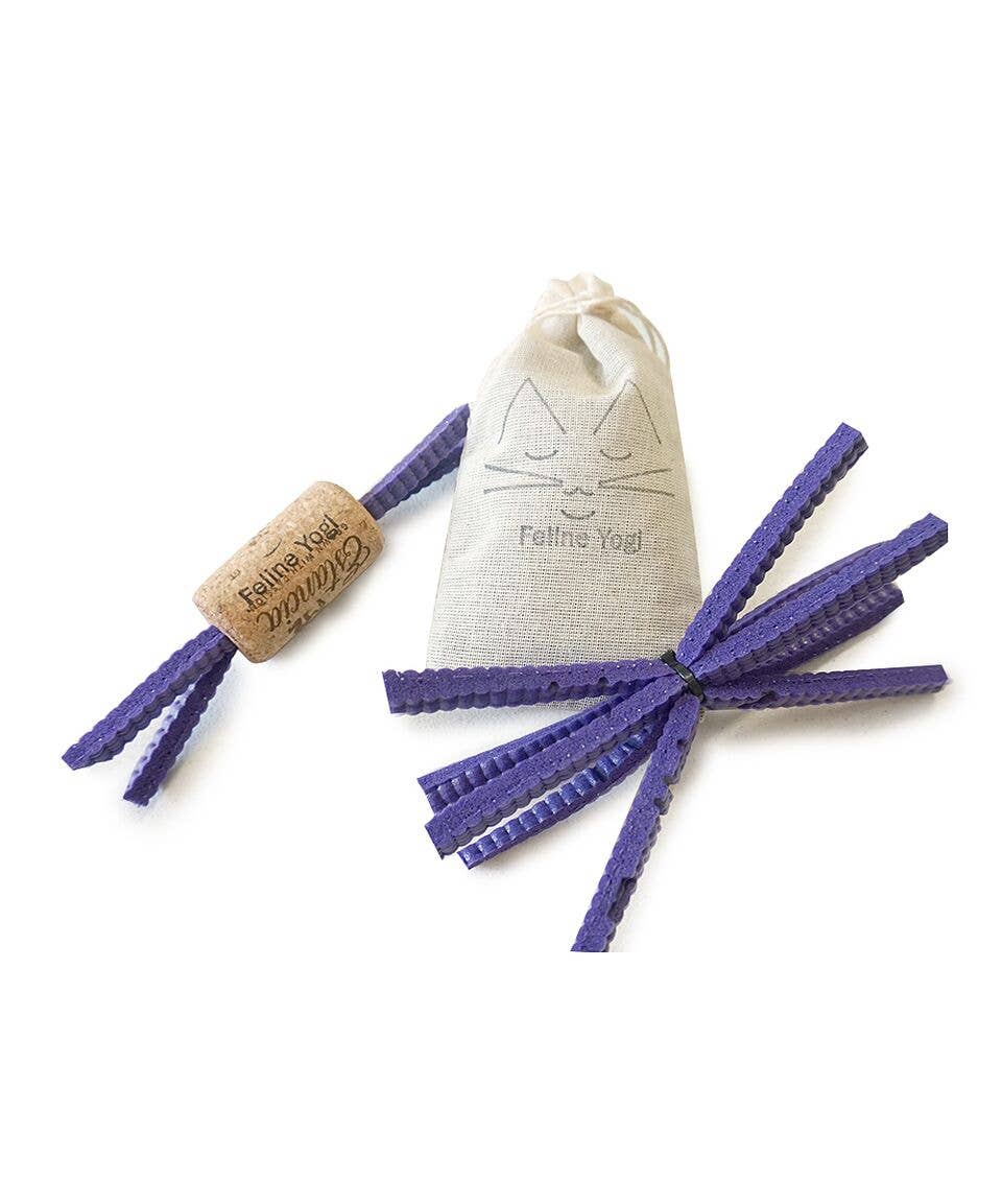 Purple Cat Toy Gift Set
