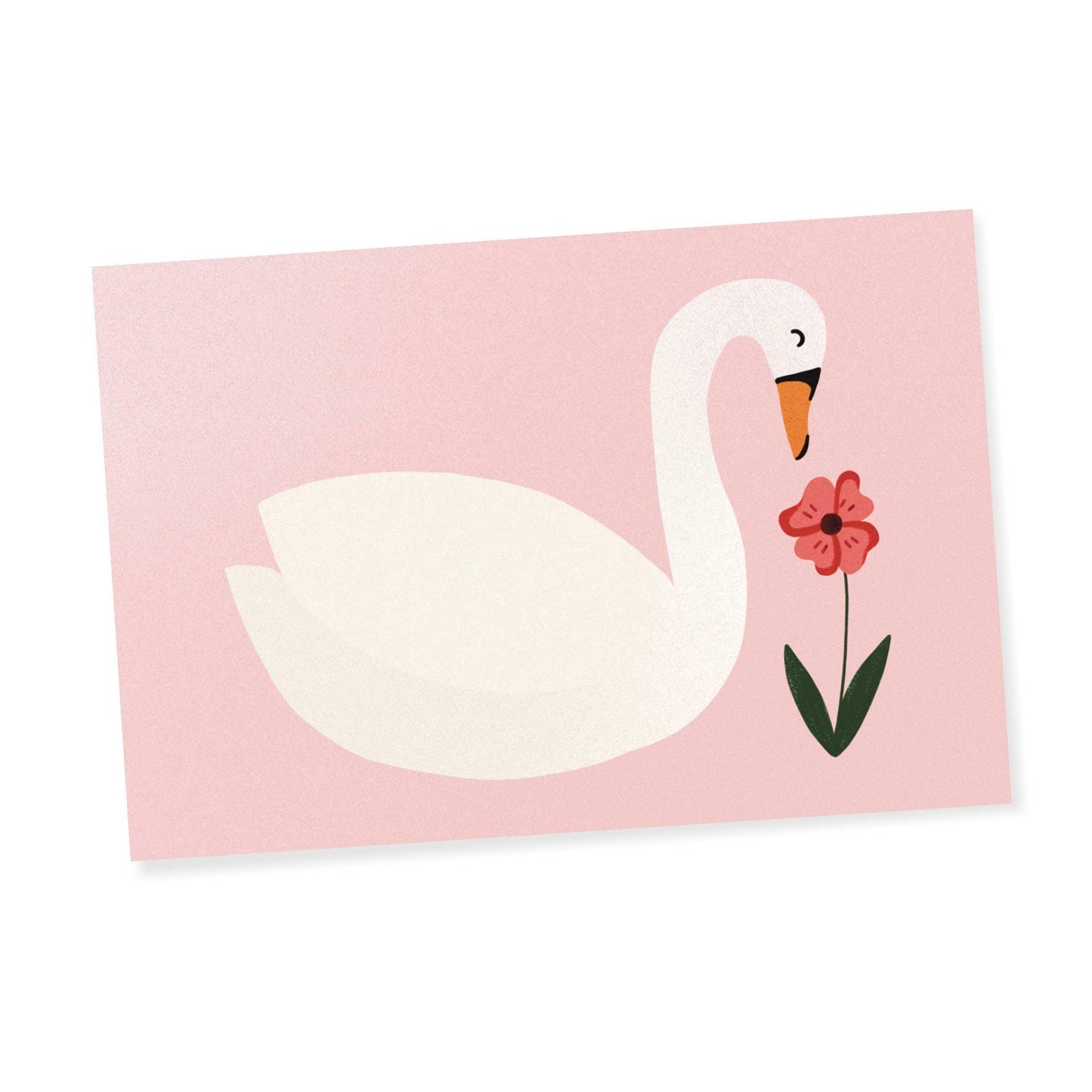 The Swan - Postcard