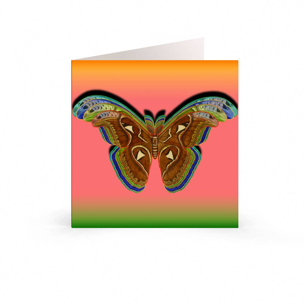 'Alkemest - Greetings Cards: Botanic Nature Collection - Atlas Moth - hiraethcynefin