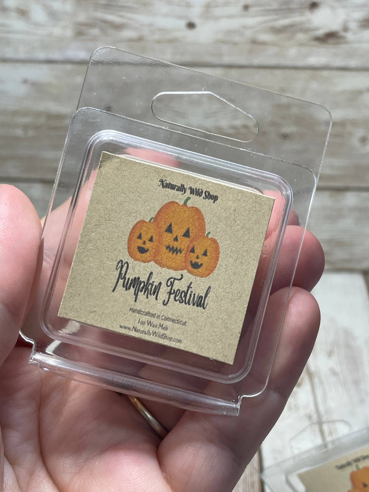 Pumpkin Festival 1oz Wax Melt