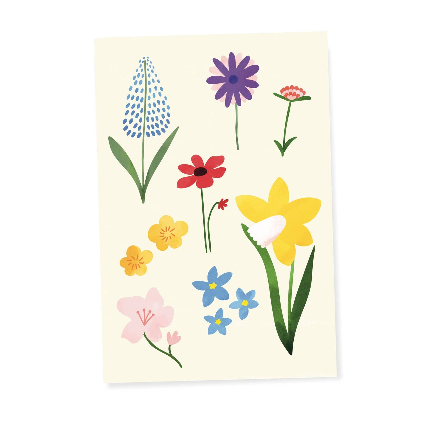 Spring Flowers Postcard