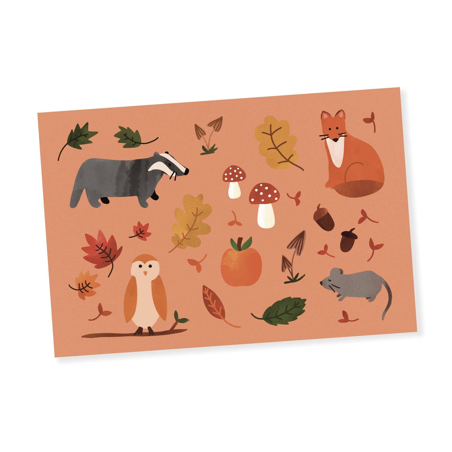 Animals of the Forest - Postcard - hiraethcynefin