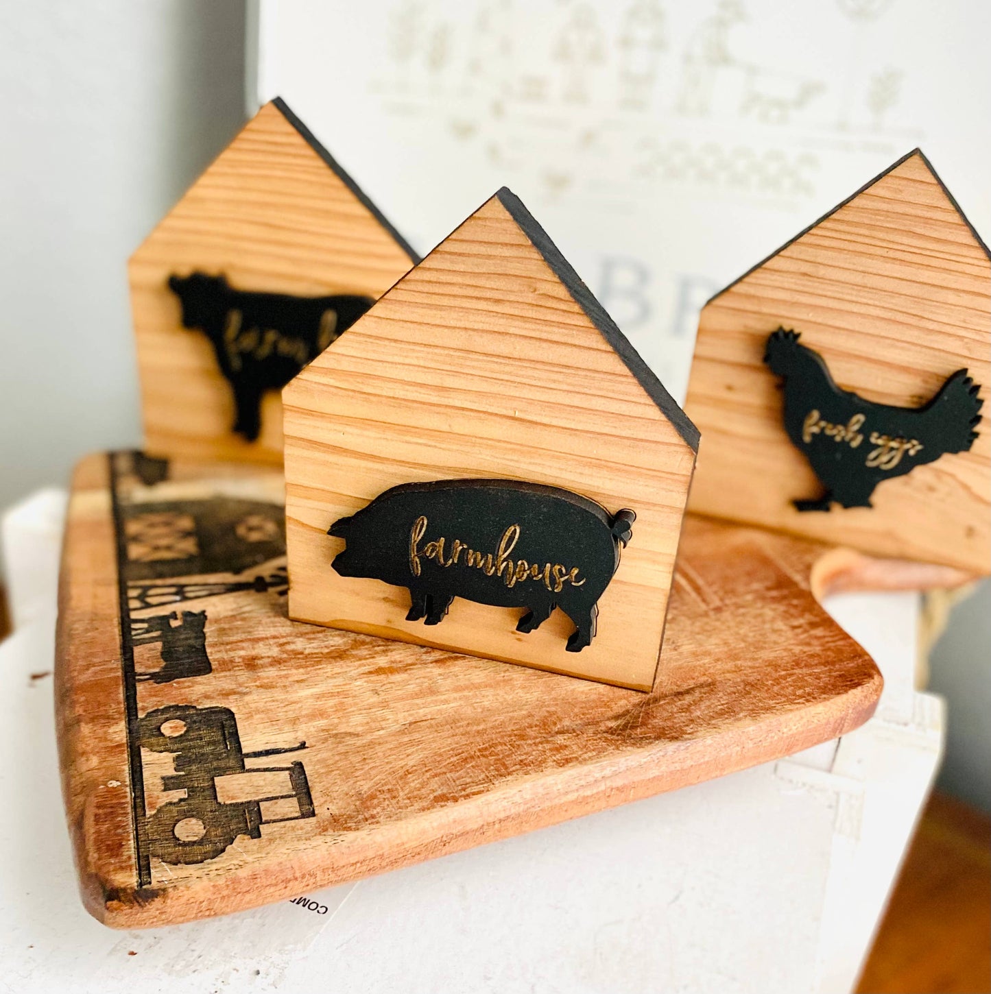 Handmade Mini House Natural Wood Set of 3 Tiered Tray Decor