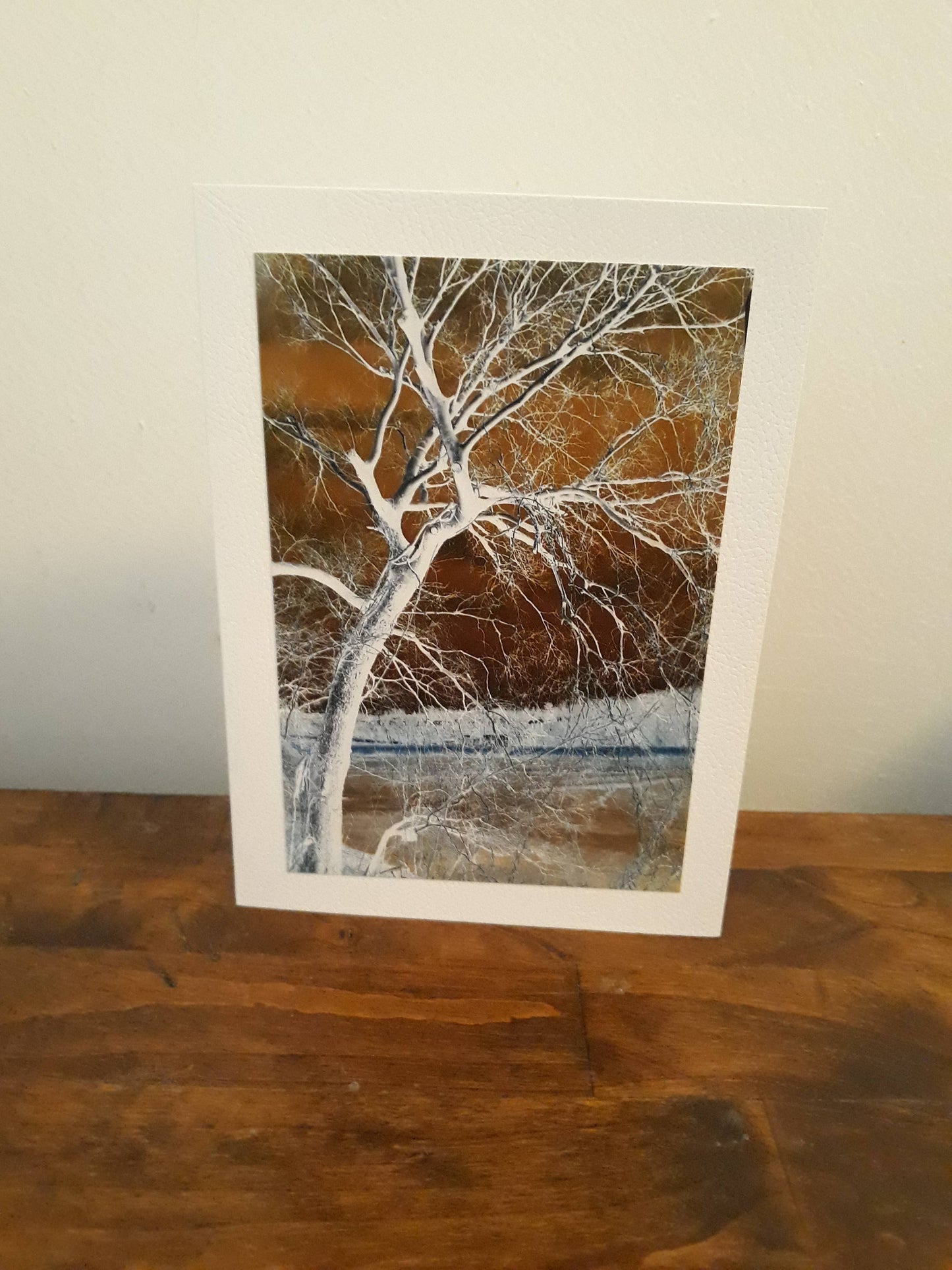 Dawna Anders Photography - Photo Greeting Card Bare Tree - hiraethcynefin