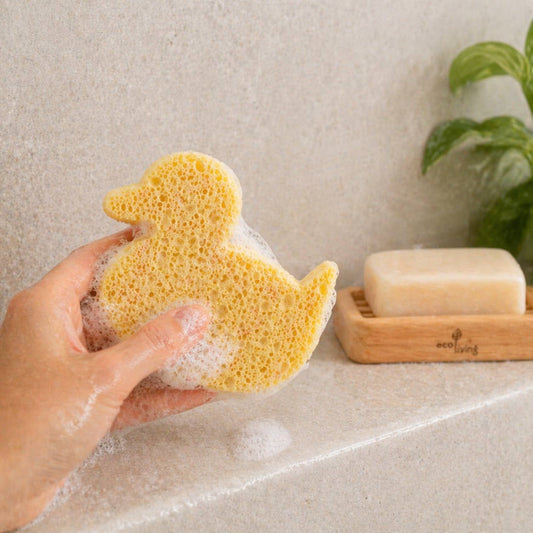 Duck Sponge