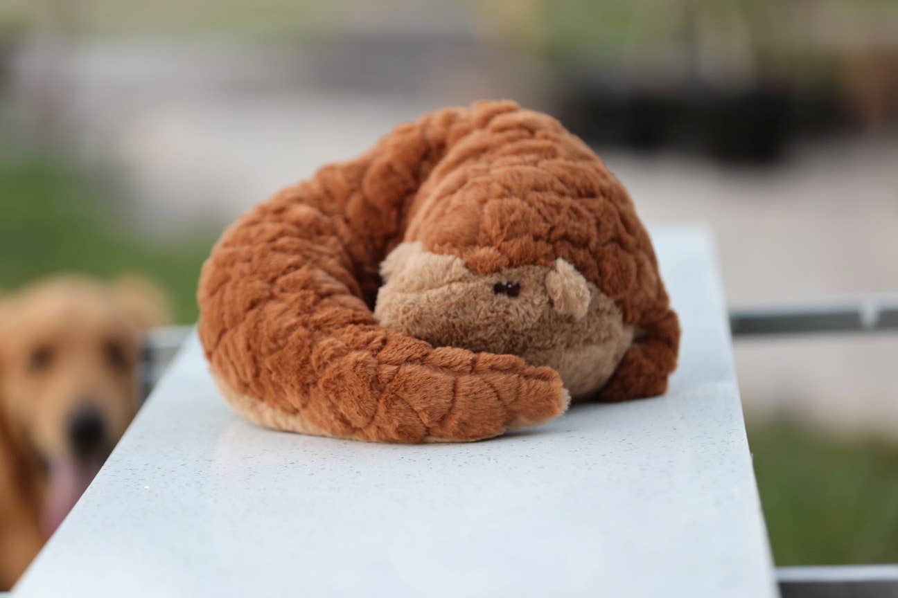 Pangolin Plush - 4lbs Weighted