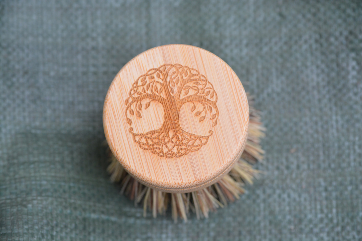 Replacement Head for Reusable Dish Brush - Firm Bristles - Tree of Life