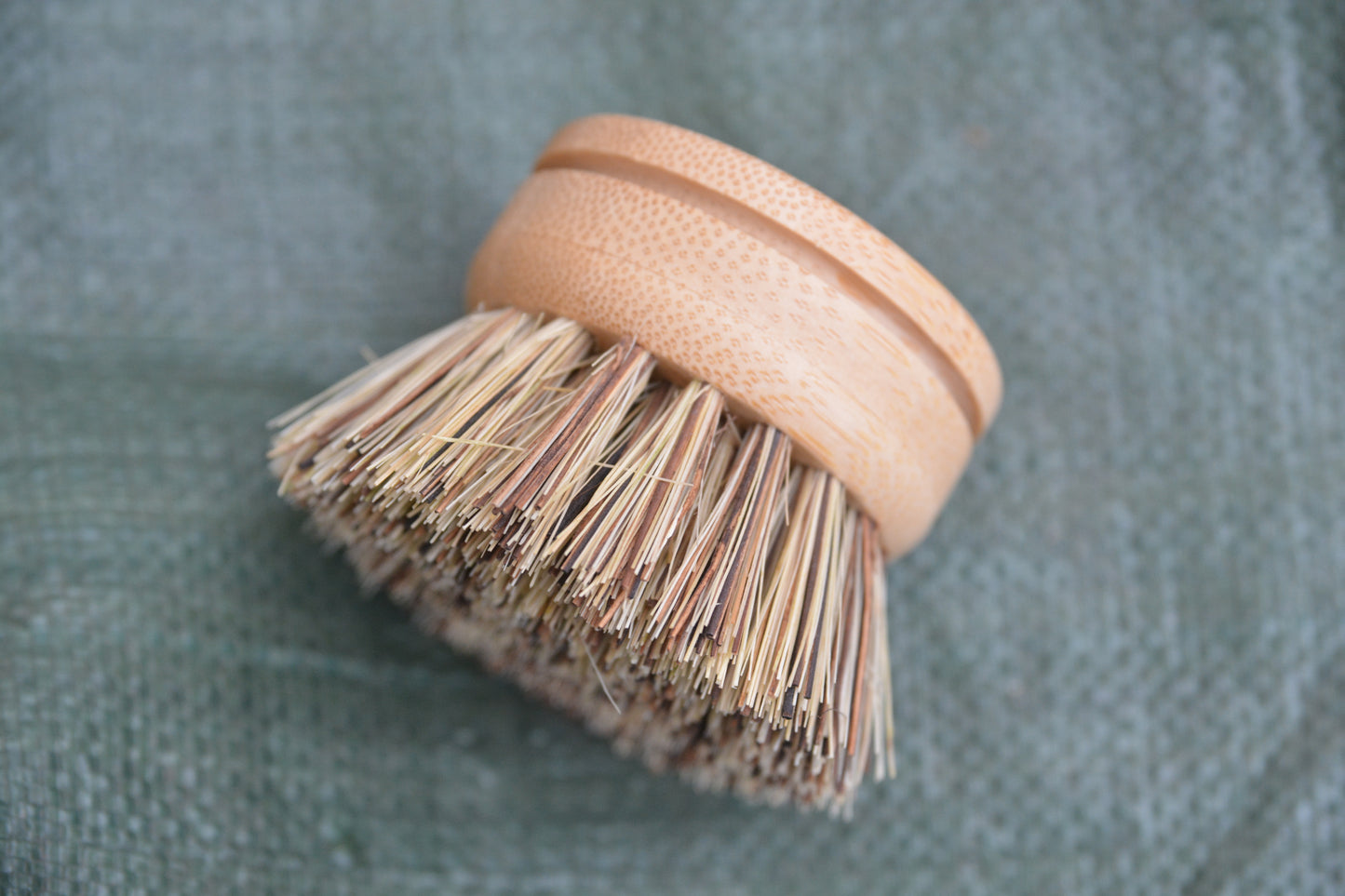 Replacement Head for Reusable Dish Brush - Firm Bristles - Tree of Life
