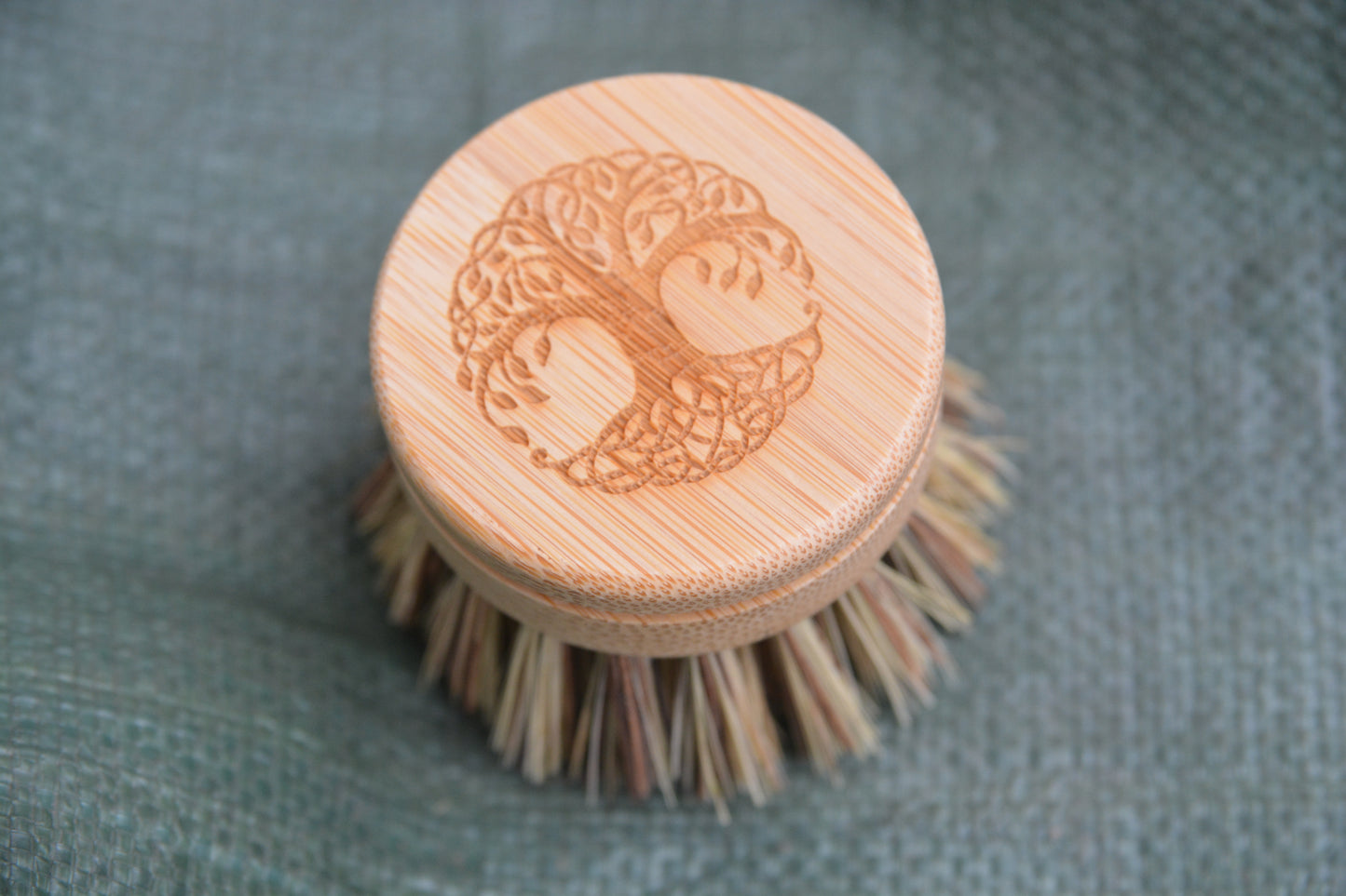 Replacement Head for Reusable Dish Brush - Firm Bristles - Tree of Life