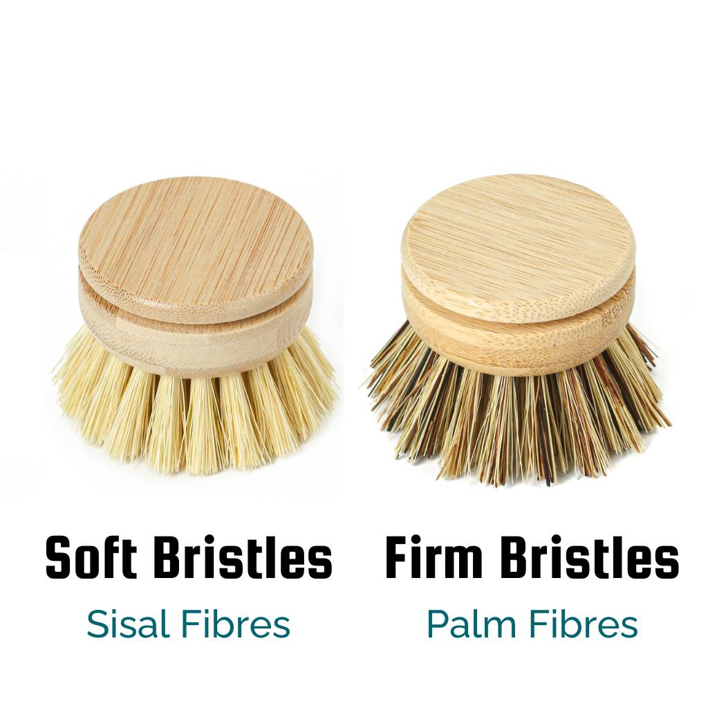 Replacement Head for Reusable Dish Brush - Firm Bristles