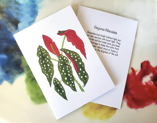 Begonia Maculata Greeting Card - hiraethcynefin