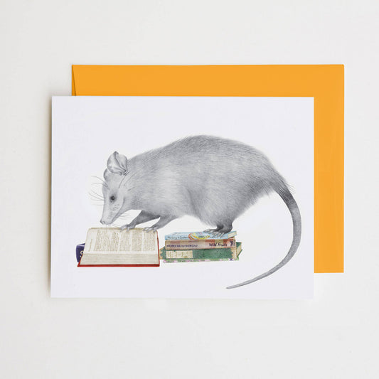 Central & Gus - Henry Gossamer Opossum Note Card - hiraethcynefin