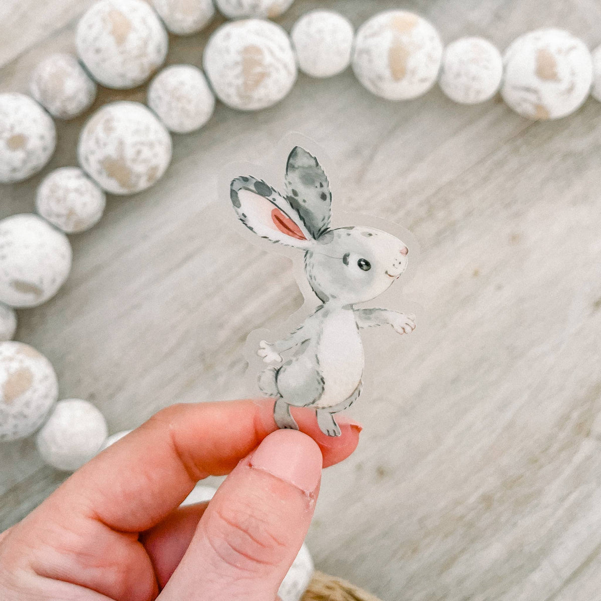 Gray Bunny