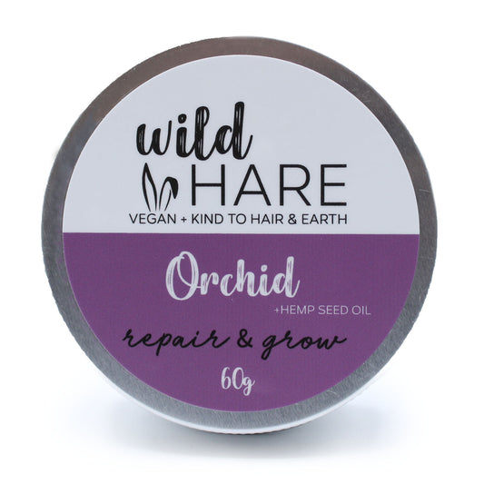 Wild Hare - Orchid